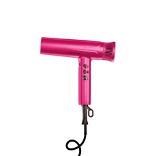 HairdryerAlphaIonicPink.jpg
